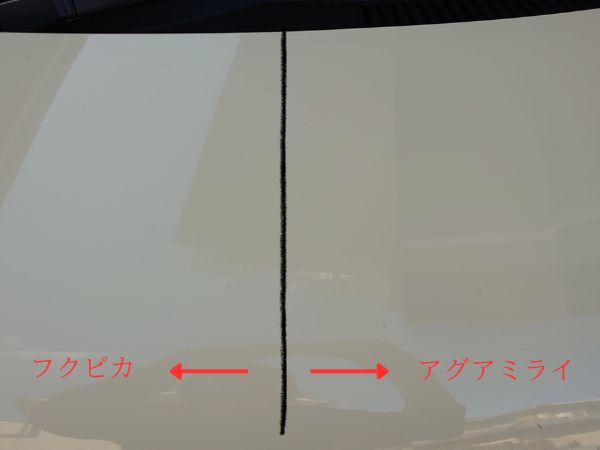 アグアミライとフクピカ